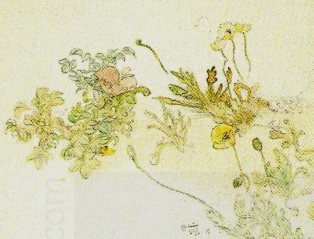 Carl Larsson blommor- nyponros och backsippor oil painting picture